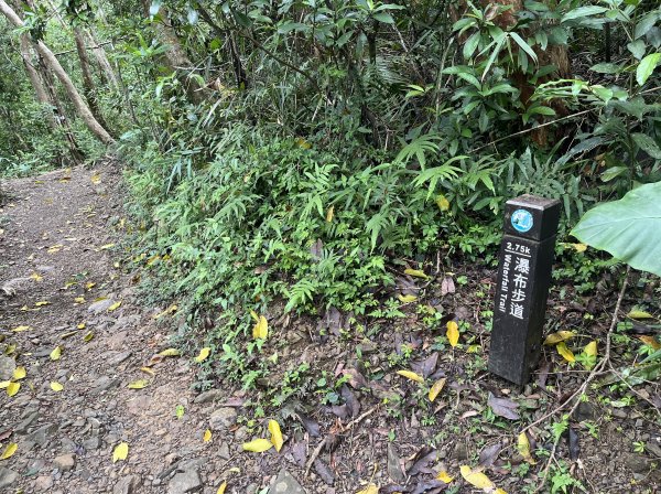 [屏步青雲 尋寶任務-03/10] 2024_0917 雙流國家森林遊樂區（瀑布步道）2597779