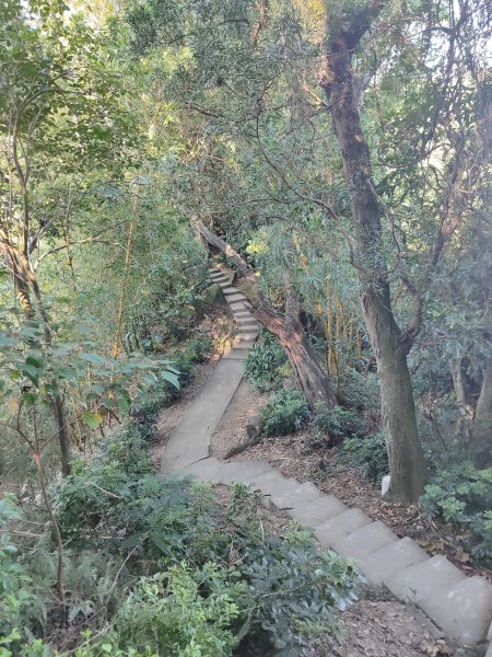 微笑山線：【大棟山系】405高地段2874147