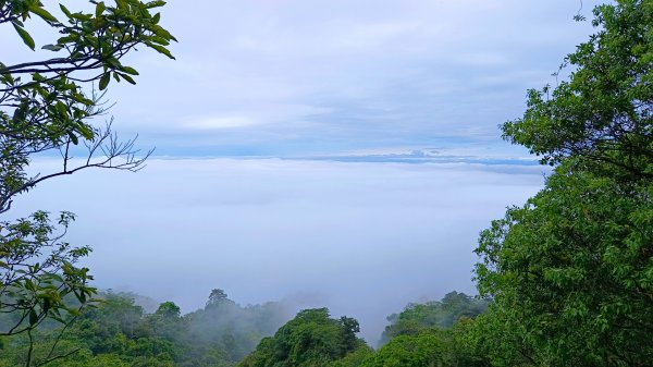 大坑頭嵙山出大景（山嵐海）2144651