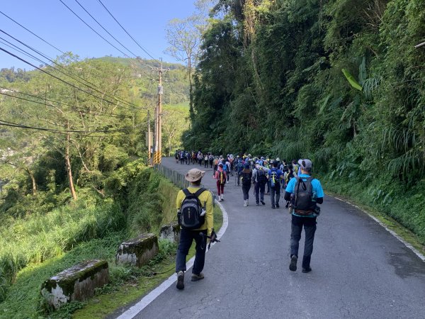 20250816嘉義鼠眉毛O繞2864062