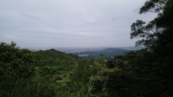 飛鳳山。中坑山355239