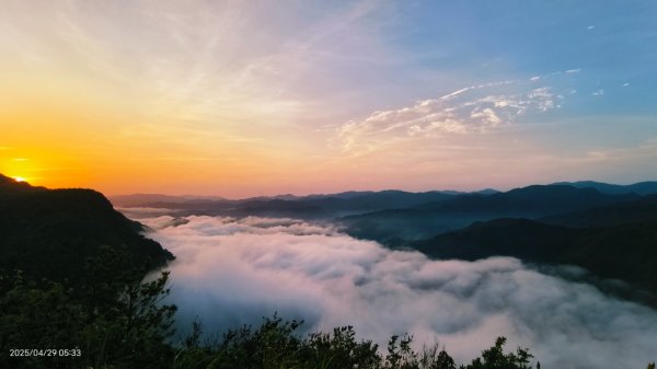翡翠水庫壩頂 #火燒雲雲海 #日出雲海 #鱷魚島 #藍腹鷴 4/292772699