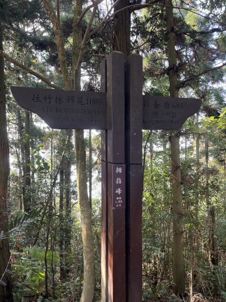 新竹五指山2011655