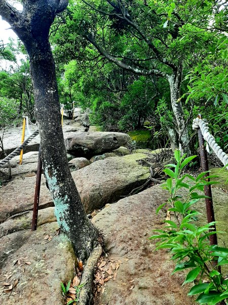 金面山、絹絲瀑布2532397