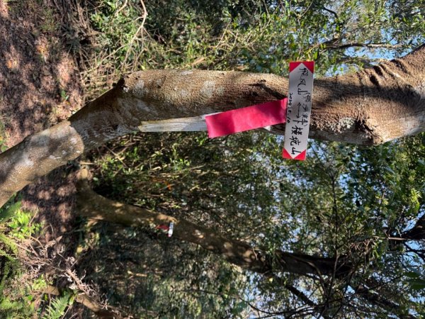 20260221 飛沙新路3003422