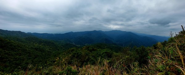 坪林區碧湖宮-四堵崙-四堵山-護管所遺址O型2081776