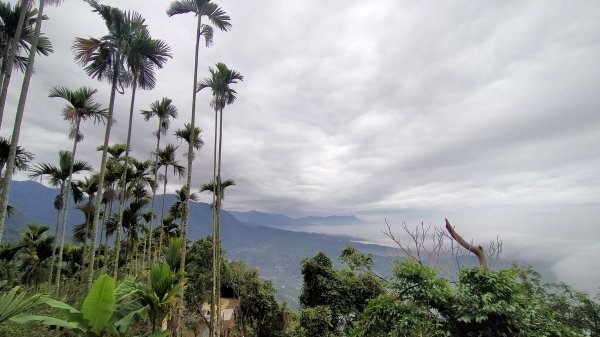 阿拔泉山稜線步道雲海1561747