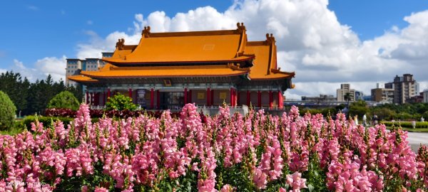 #自由廣場 #大安森林公園 #繡球花 #杜鵑 3/163016271