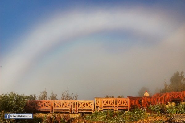 【漫步在雲端的阿里山】可遇不可求的「霧虹」和「觀音圈」