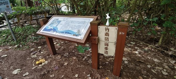 2026/06/07_竹南海濱森林步道3072534