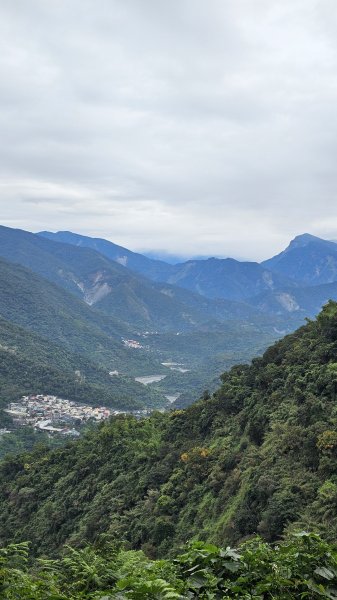 【錯過昨天的約定，今天用腳步致歉】⛰️尾寮山的魔王氣場依舊強大2952110