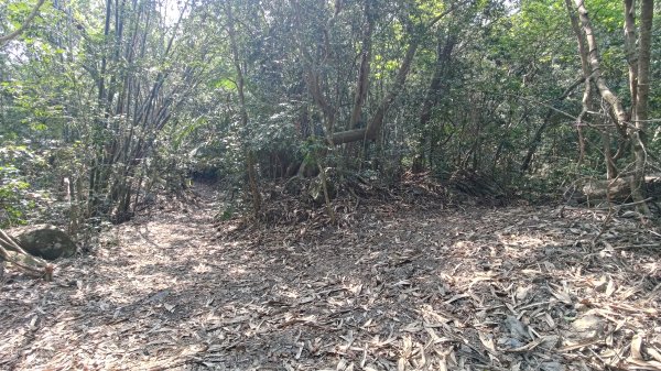 西阿里關山3033621