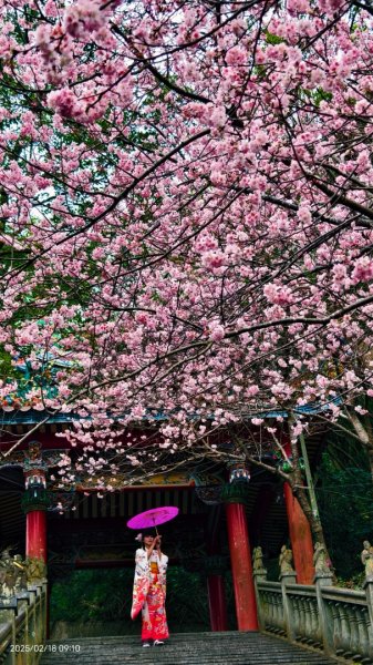 內湖碧山巖 2/182714793