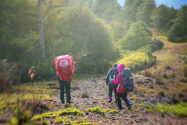 大小劍-油婆蘭全紀錄2674191