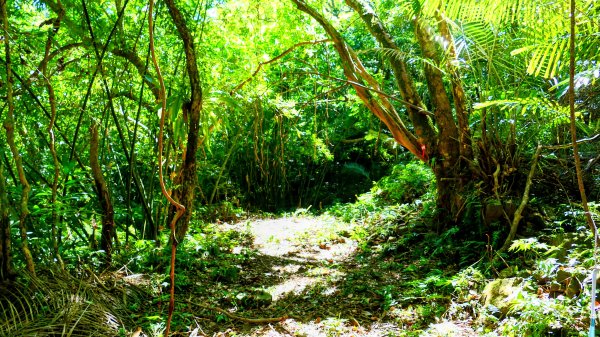 崩山坑越嶺內盤山2913776