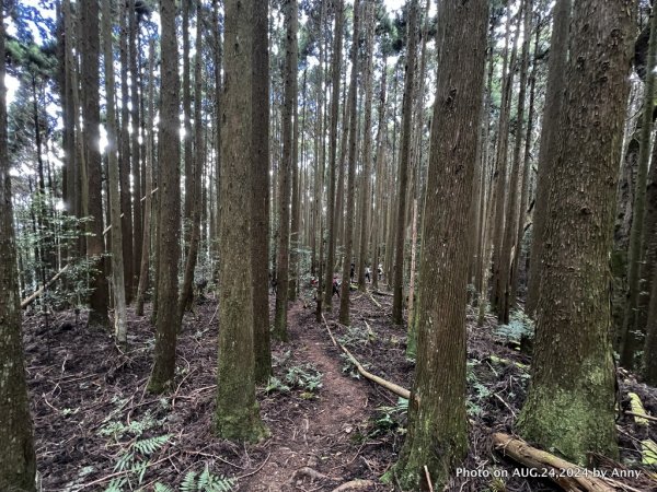 民都有山就是漂亮的夏天冷氣房2582236