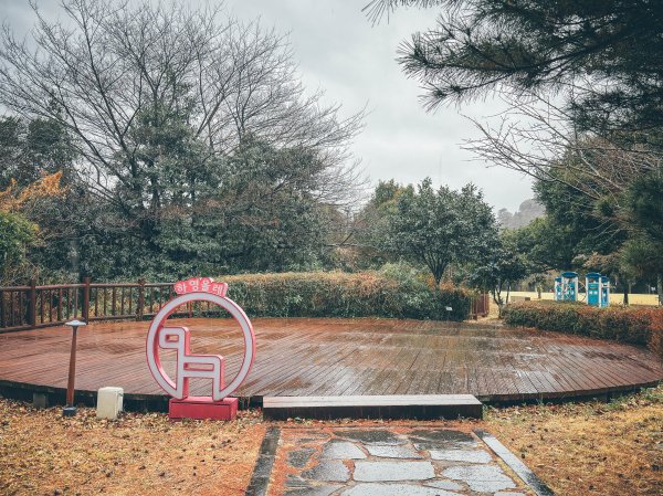 2026 偶來小路437公里認證3028719