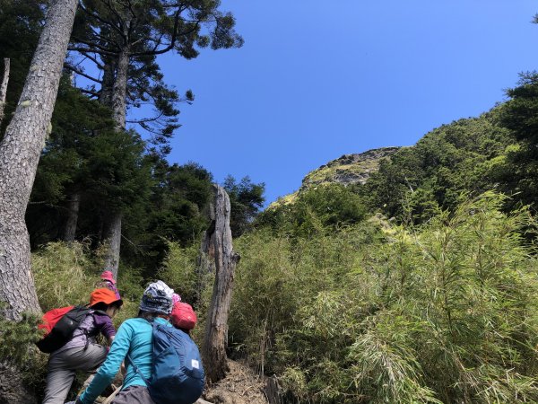 畢祿山 - 在孩子眼中 我們發怒的模樣