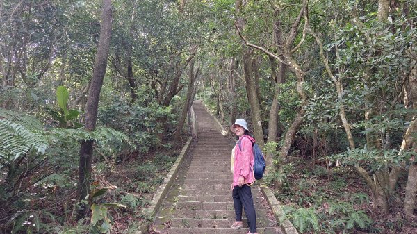 (姨婆趴趴走)第五十五集:攀登健走台北大崙頭尾山親山步道環狀一圈2853712