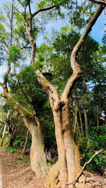 隴頂古道走萬里長城四百坎2672864