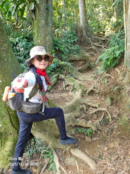 20251216太平山石門山小粗坑山O型+蕃薯藤TINA廚房2972554