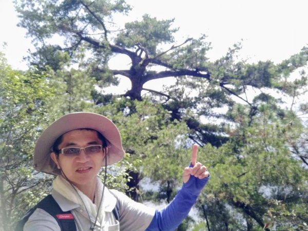 谷關七雄之東卯山（5）736199