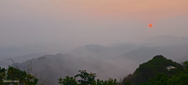#山羌 #親子檔 #二格山 #日出 #雲海 #晨霧 4/113033447