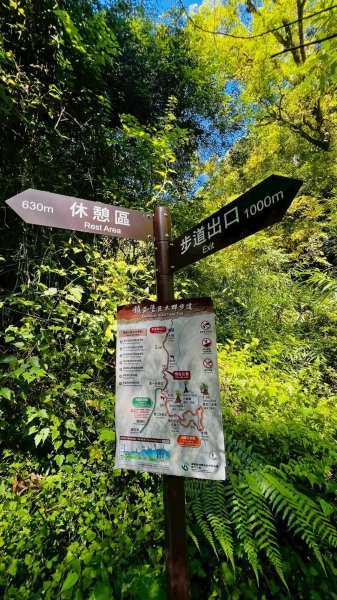 🌈8/16（六）遠的要命的王國~鎮西堡B區神木巡禮✨FB：熊熊趴爬走🌈2861620