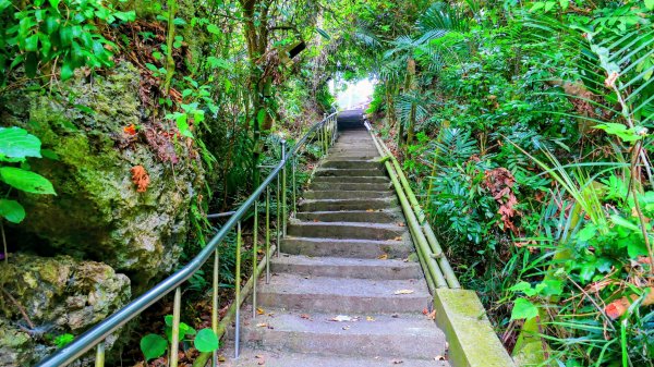 大崗山,盤龍峽谷2954509