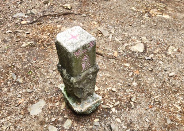 【中級山】五星級步道，谷關七雄馬崙山（八壯士進，斯可巴出）2744966