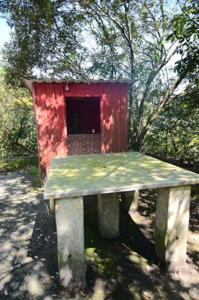 20250228西九份坑山-九份坑山-觀日峰-新厝山-火炎山-美艷山2722409