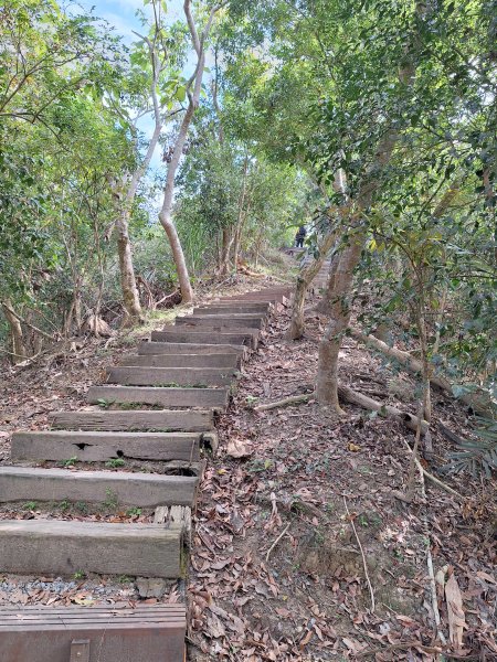 南化鈺鼎步道上糖子恩山+北峰202503152736902