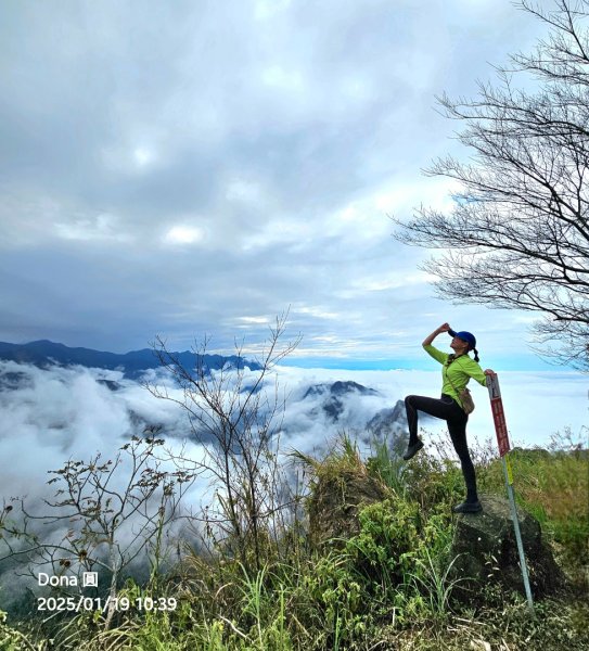 小百岳馬那邦山(H1407m)加碼採草莓2694673