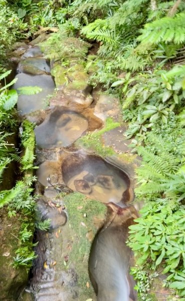 南港山(小百岳#13)/中華科技大學南港山來回2938333