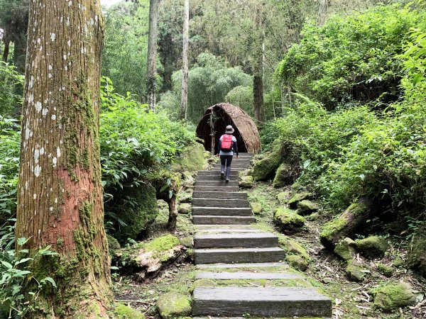 納涼去～頂湖上大凍山 20190622621403