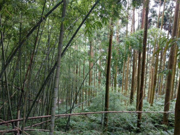 馬武督山 外鳥嘴山之瀑640422