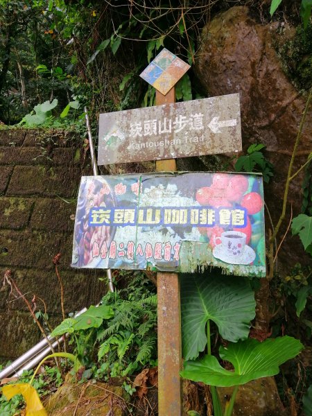 台南東山~山上尋悠。 #65小百岳崁頭山915973