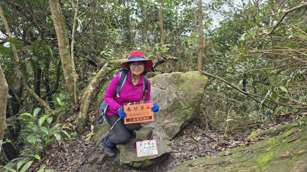 2025貓空杏花林杏花大爆發，粉紅、深紅及白色杏花爭奇鬥艷，從公車站步行20分鐘即抵達2720171