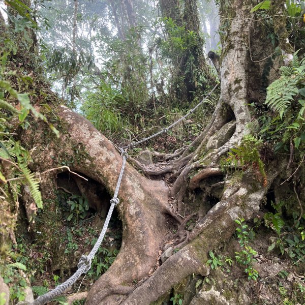 20251013_都蘭山（台東小百岳）2941332