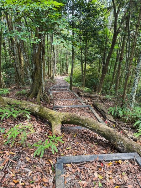 埔里能高瀑布-慶安步道-觀景台2801477