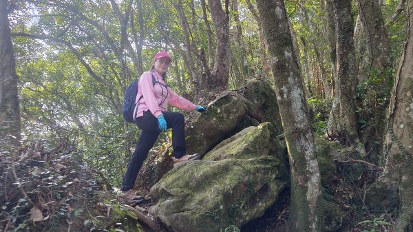 (姨婆趴趴走)第四十六集:新竹關西赤柯山及南峰、東西獅頭山、馬福山環狀縱走2685741