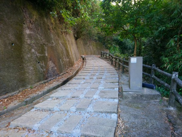 大坑步道全包一起登( 2 3維修)747610