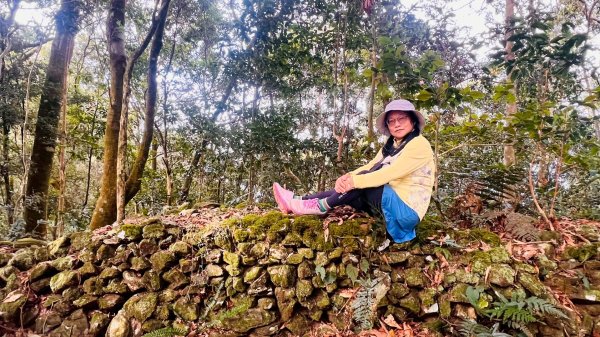 六龜警備道茂林段：網子山-網子山東北峰-鳴海下山-鳴海山(小百岳#71)2981493