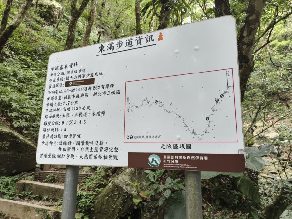 [百山百鳥尋旅-09/15] 2025_0920 滿月圓國家森林遊樂區步道群2893055