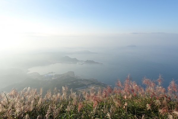 秋陽、金芒、基隆山464502