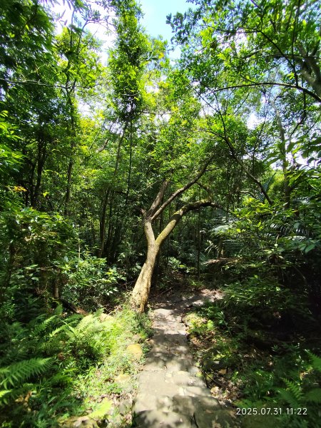 大湖公園→大溝溪生態治水園區→圓覺寺步道→圓覺瀑布→圓覺寺→鯉魚山步道【臺北大縱走 4、臺北健走趣】2849172
