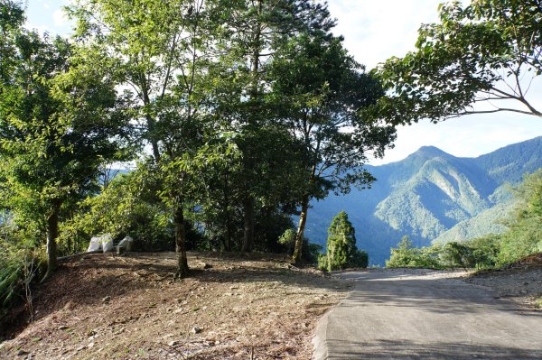 桃園 復興 把家灣山、低陸山2865341