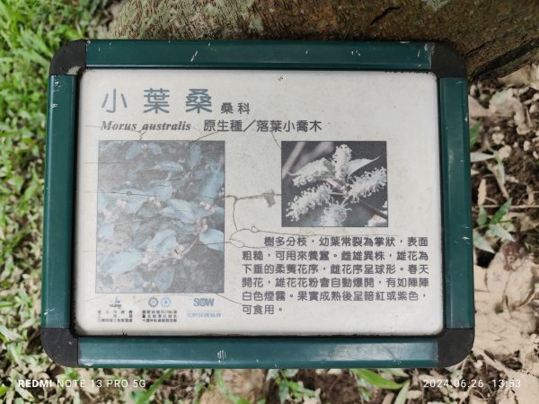 大安森林公園【走路趣尋寶】【臺北健走趣】2536227