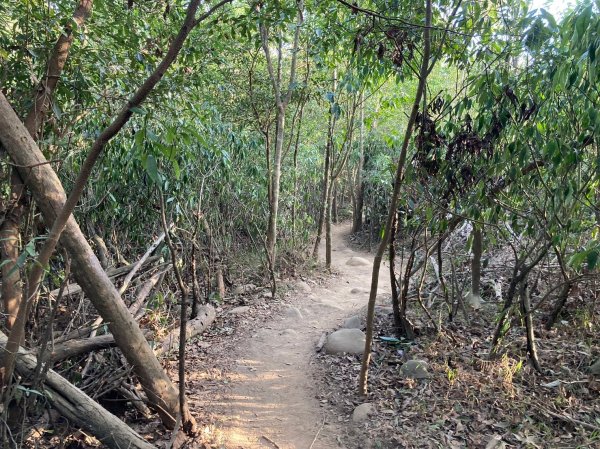 火炎山登山步道2386035