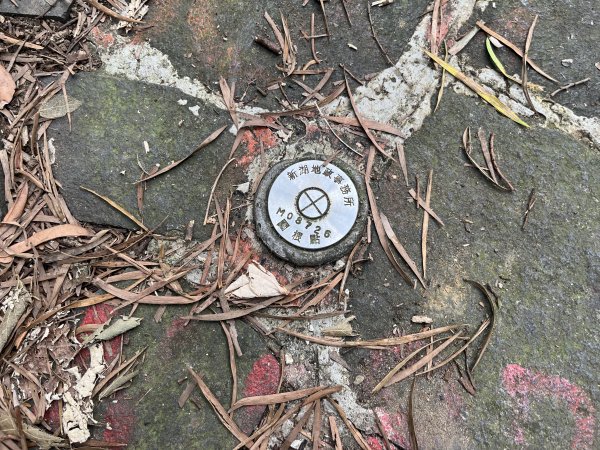 [皮皮獅探險隊-02/10] 2025_0706 漢卿步道、秀才步道2830926